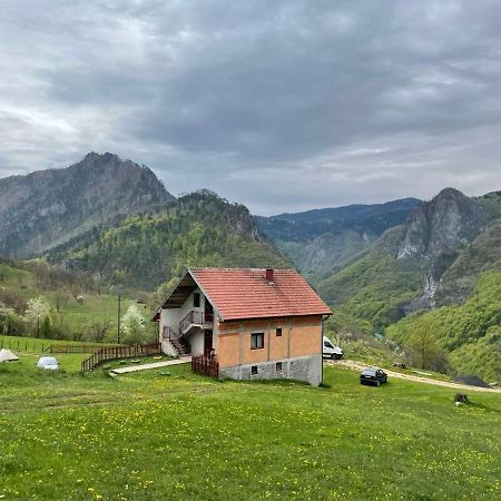 Family Owned Self Sufficient Eco Farm Tara Hotel Pljevlja Buitenkant foto