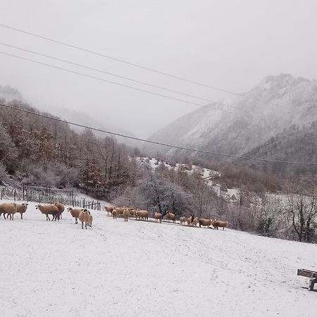 Family Owned Self Sufficient Eco Farm Tara Hotel Pljevlja Buitenkant foto