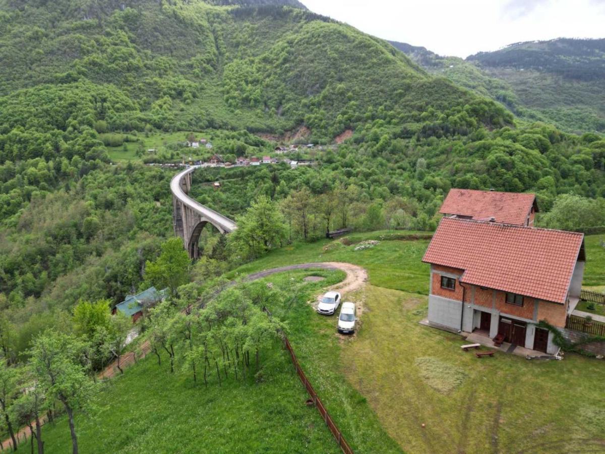 Family Owned Self Sufficient Eco Farm Tara Hotel Pljevlja Buitenkant foto