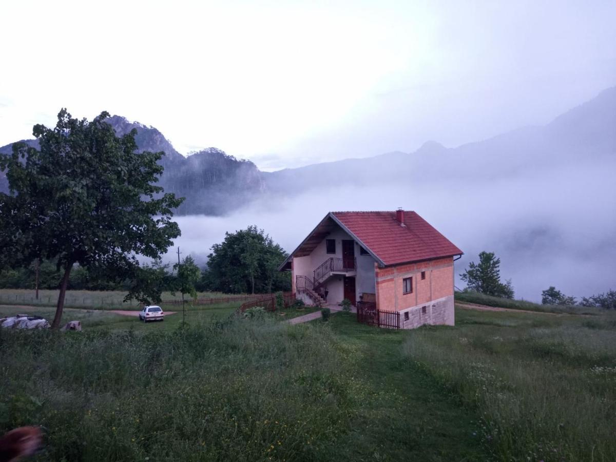 Family Owned Self Sufficient Eco Farm Tara Hotel Pljevlja Buitenkant foto
